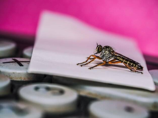 Ile kosztuje budowa Biedronki i od czego zależą wydatki?