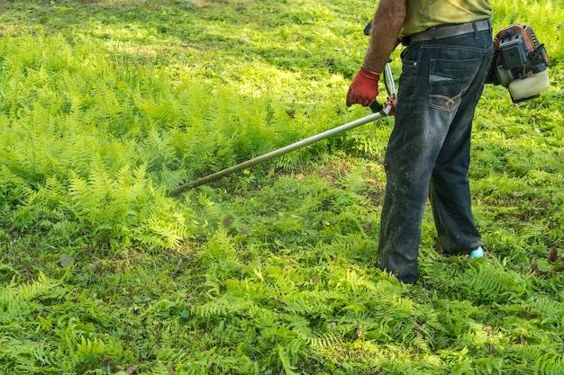 Jaki herbicyd na trawnik wybrać do walki z chwastami?