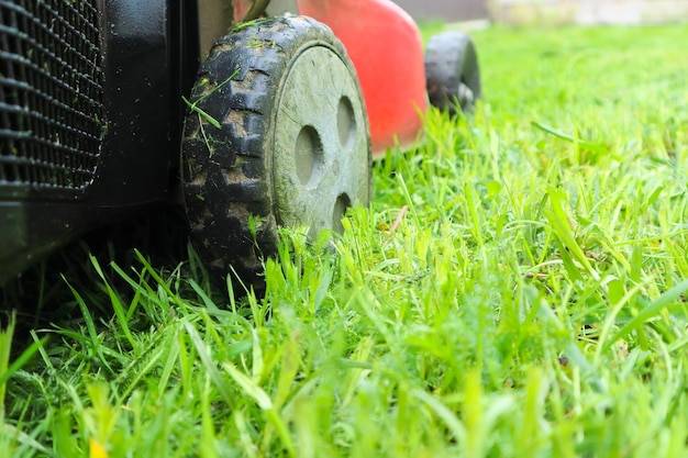 Kiedy wykonać wertykulację trawnika aby poprawić jego kondycję?