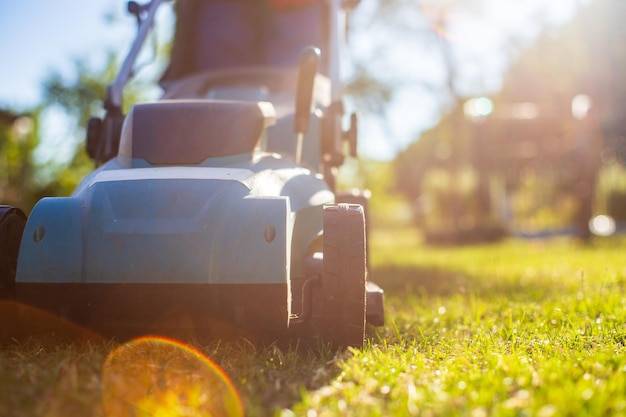 Na ile kosić trawę aby utrzymać piękny trawnik?