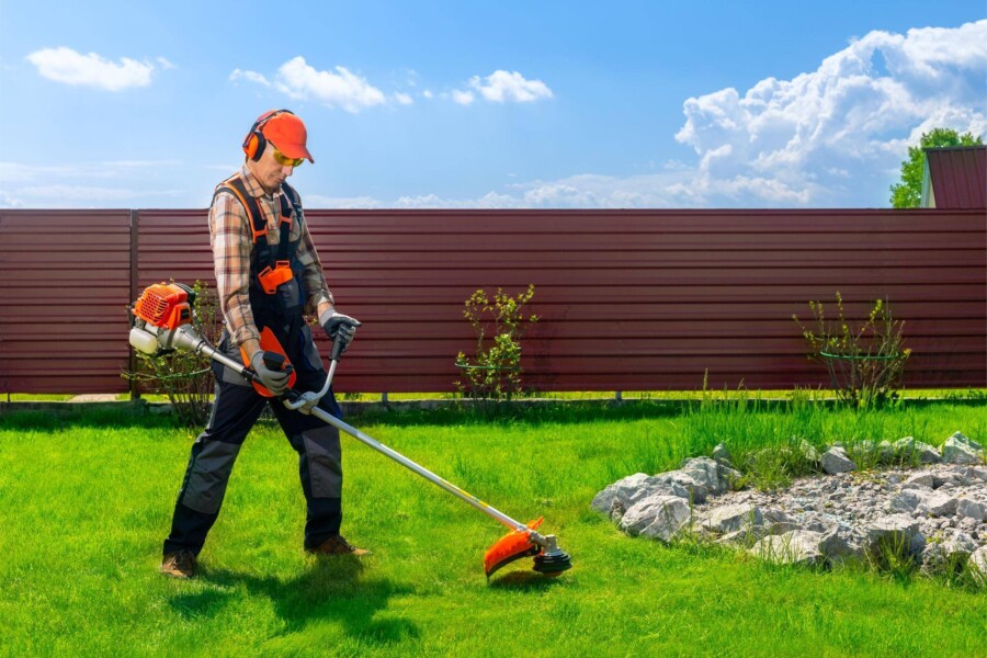 Czy przed wertykulacją trzeba skosić trawę?